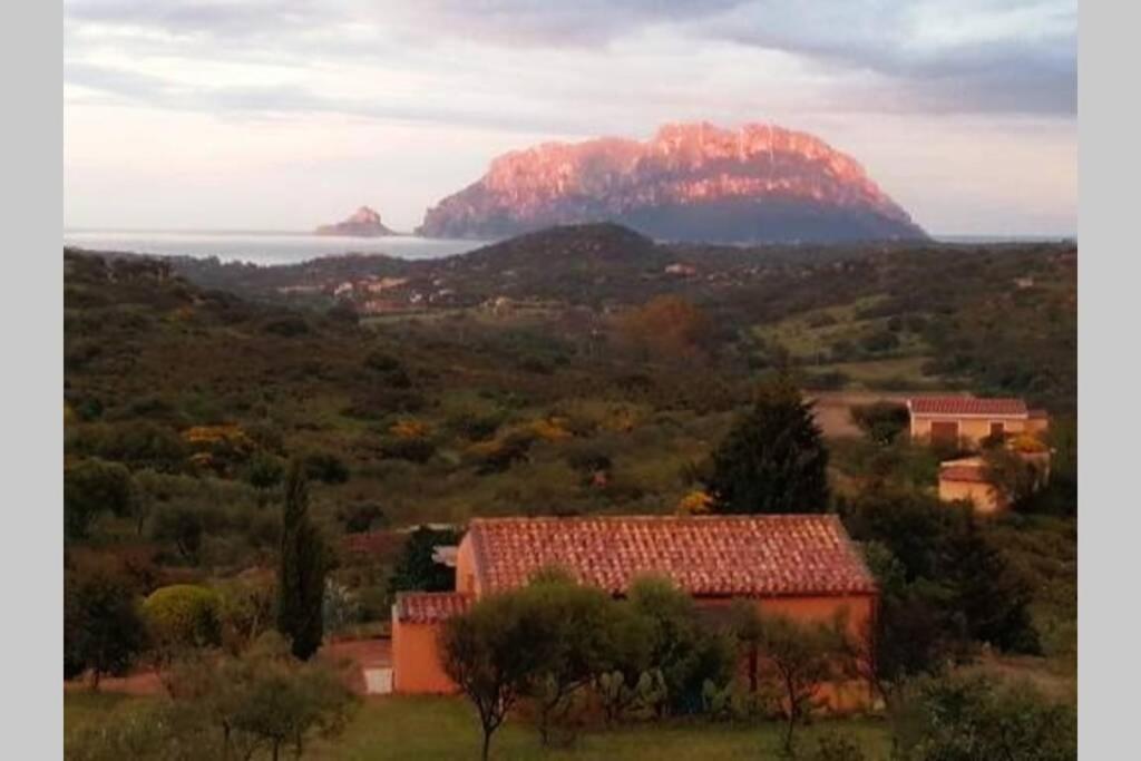 Mare E Campagna Villa Murta Maria Eksteriør bilde