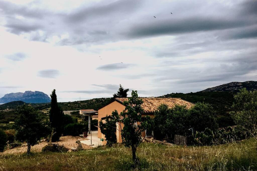 Mare E Campagna Villa Murta Maria Eksteriør bilde